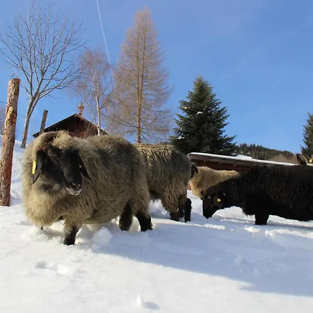 Mitterleithengut Apartament *