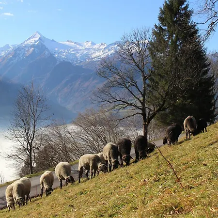 Mitterleithengut Apartament *