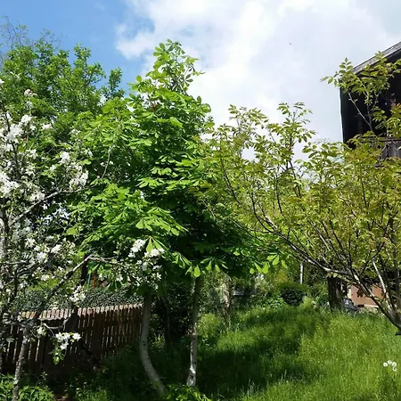 Mitterleithengut Apartament Zell am See