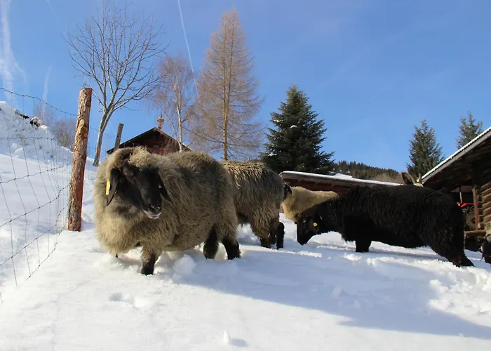 Mitterleithengut Appartement *