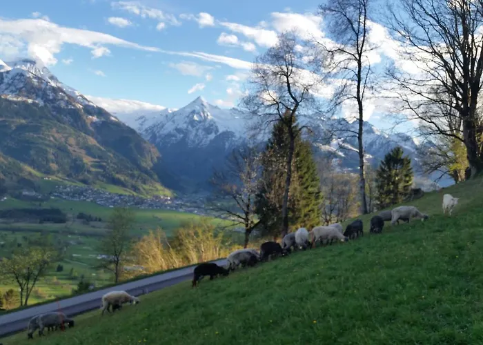 Mitterleithengut * Zell am See