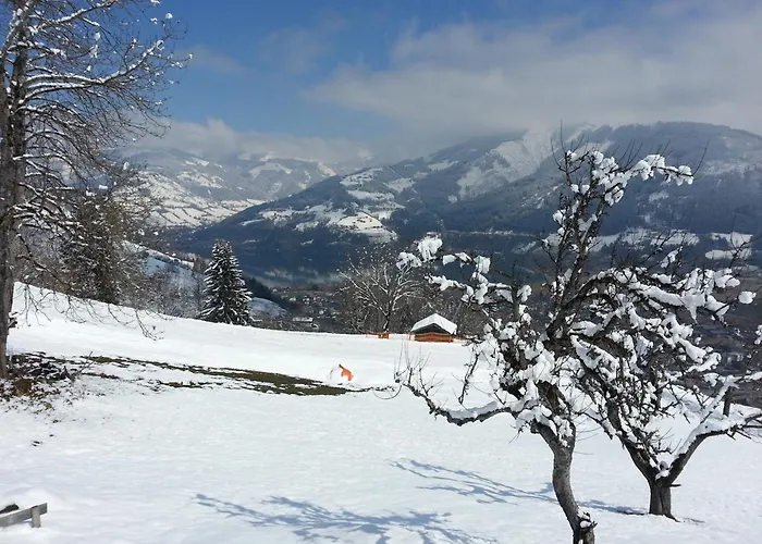 Mitterleithengut Zell am See