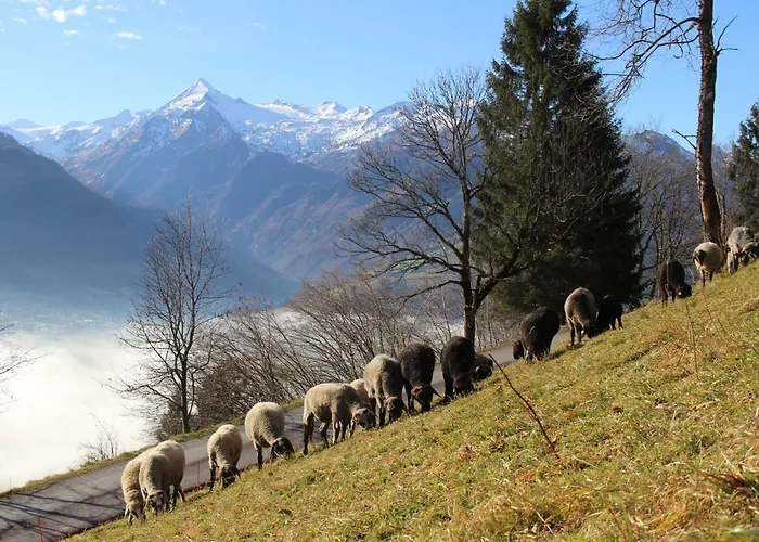 Mitterleithengut Appartement *