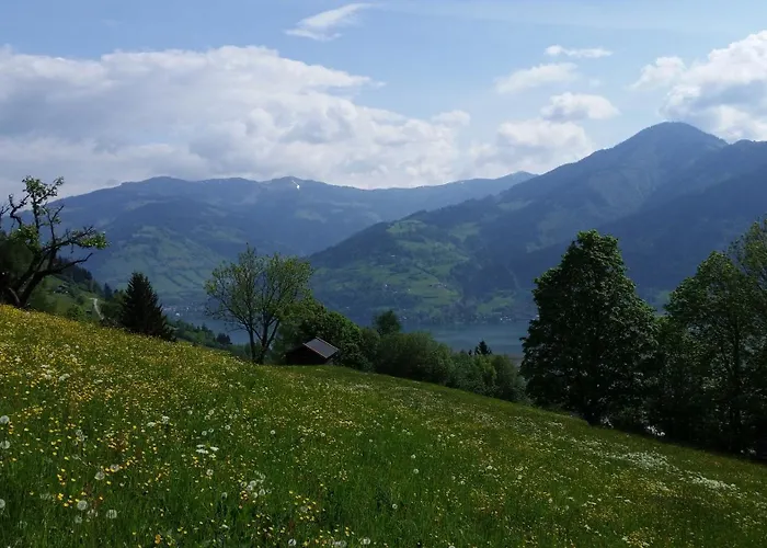 Apartment Mitterleithengut *