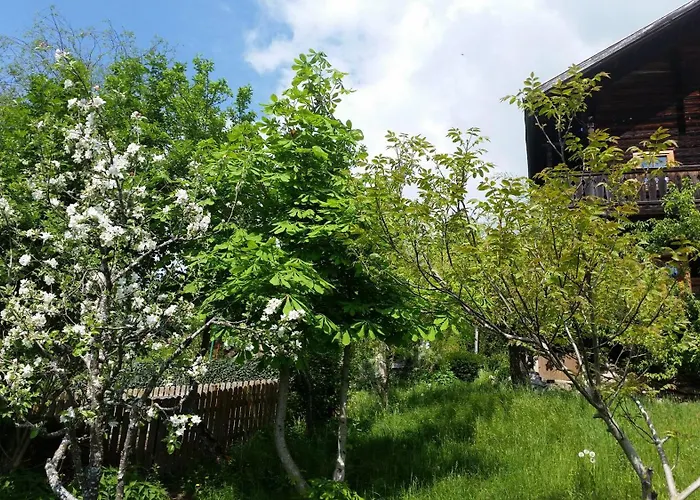 Mitterleithengut Appartement Zell am See