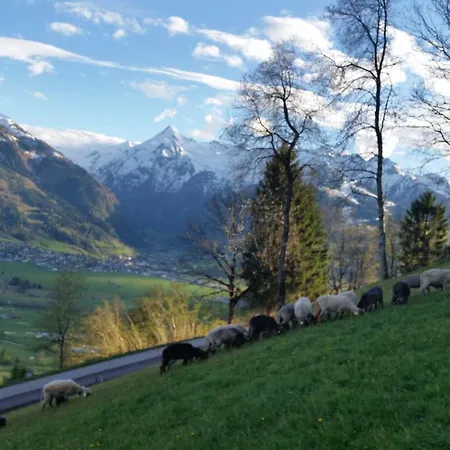 Mitterleithengut * צל-אם-זי