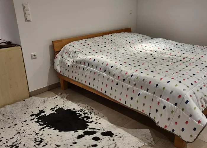 Διαμέρισμα Mitterleithengut Τσελ αμ Ζέε