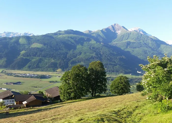 Διαμέρισμα Mitterleithengut *